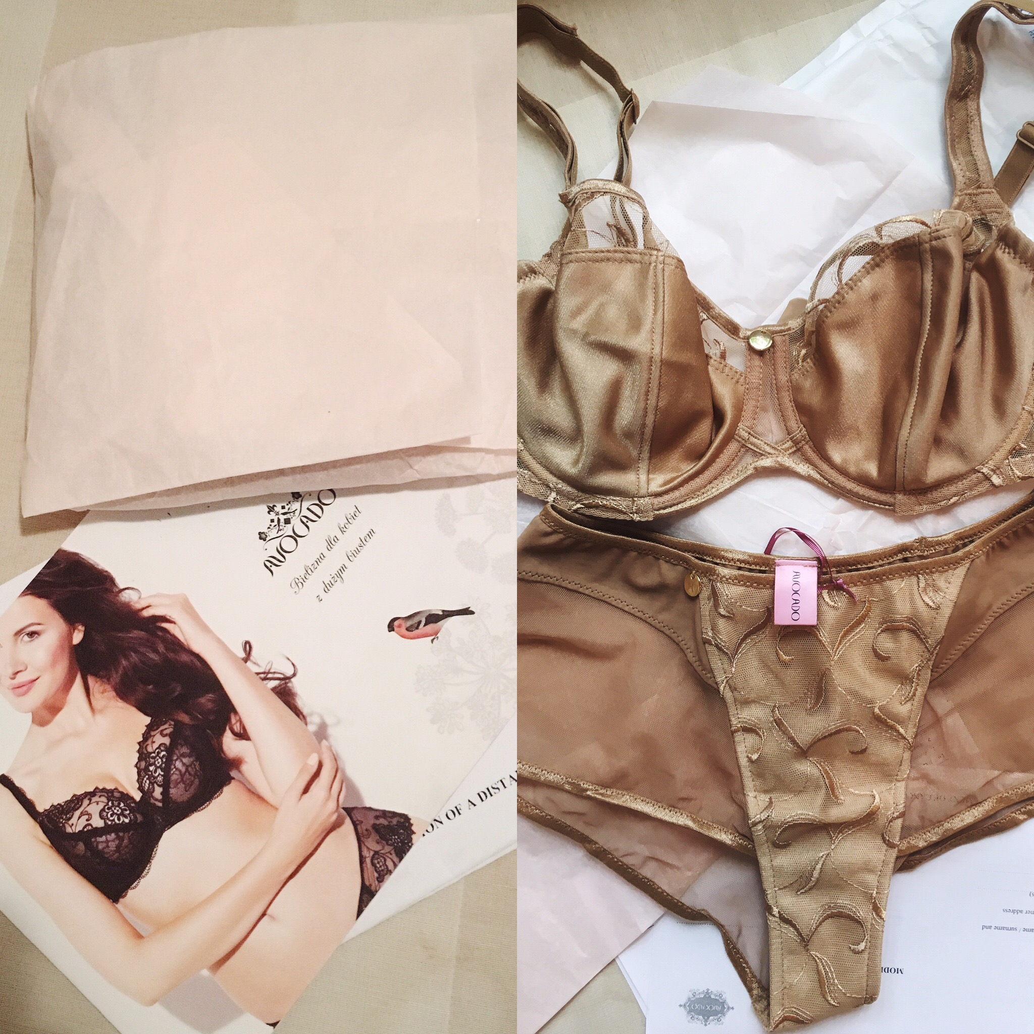 e370770f-3115-4631-8cc6-eb6083300485